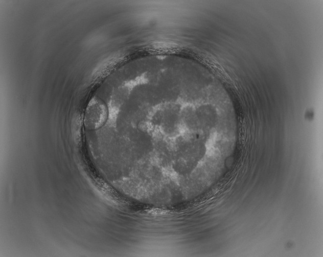 X0000116780742201001281121