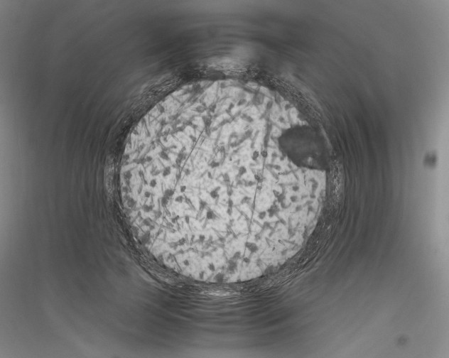 X0000116780745201001281121