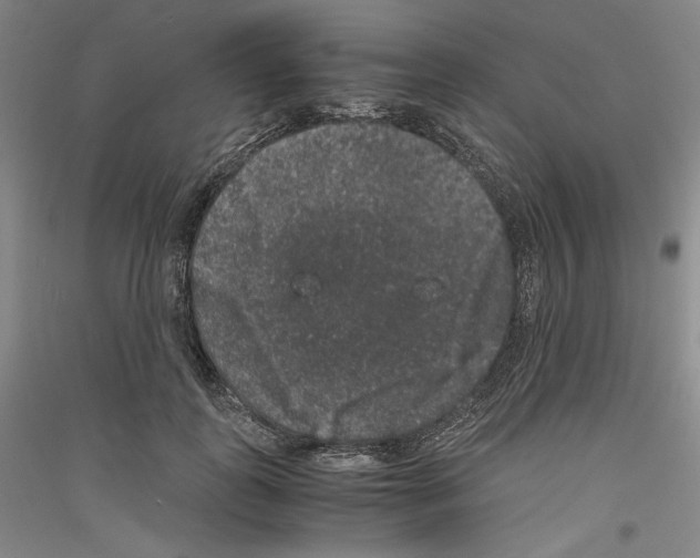 X0000116780747201001281121