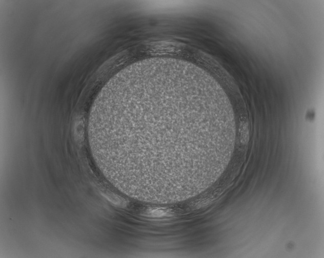 X0000116780753201001281121