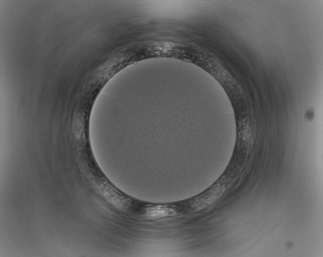 X0000116780754201001281121