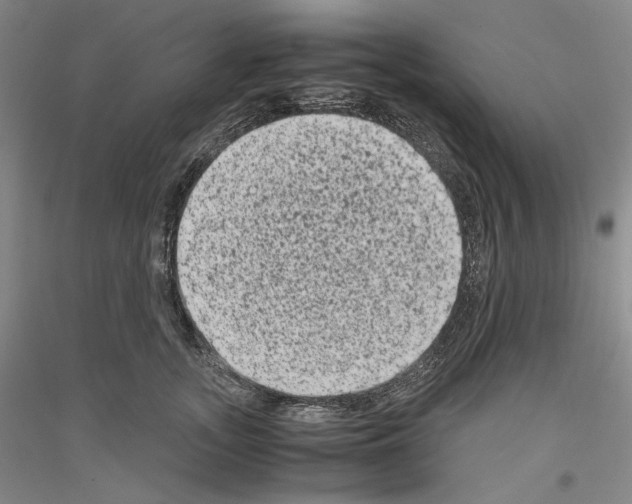 X0000116780755201001281121