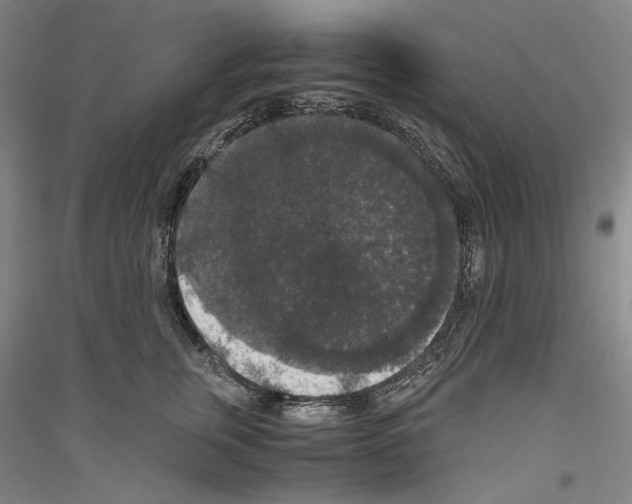 X0000116780759201001281121