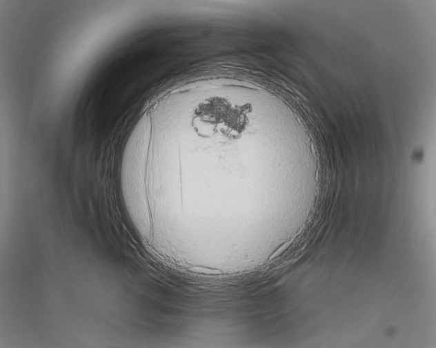 X0000116780762201001281121