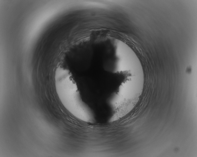 X0000116780763201001281121