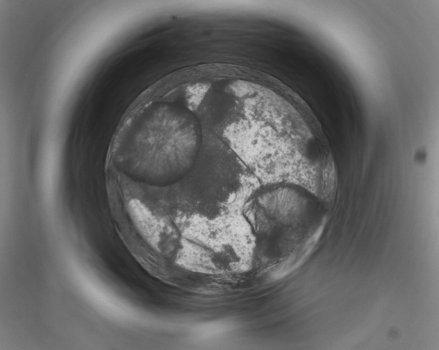 X0000116780765201001281121