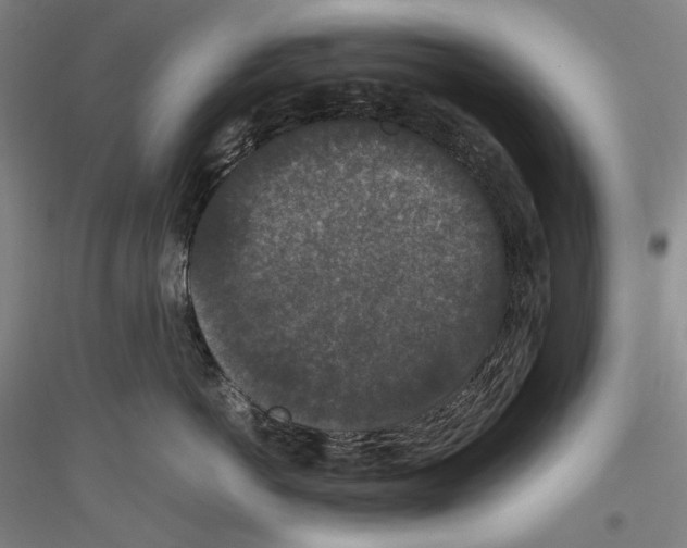 X0000116780766201001281121