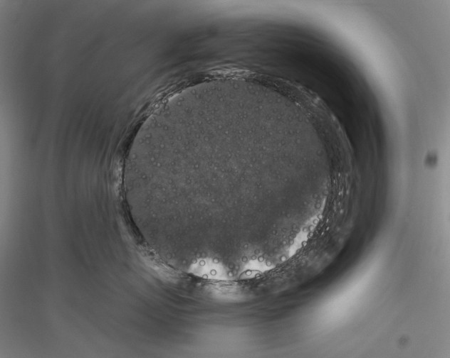 X0000116780767201001281121