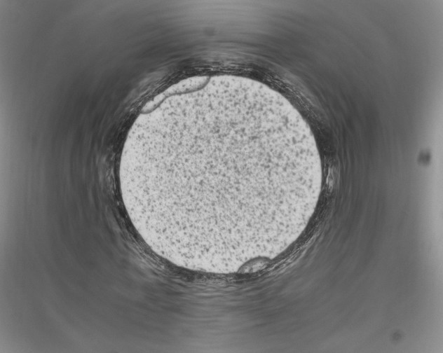 X0000116780771201001281121