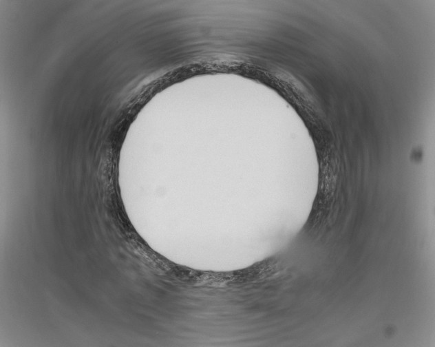 X0000116780773201001281121