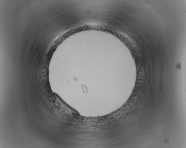 X0000116780776201001281121