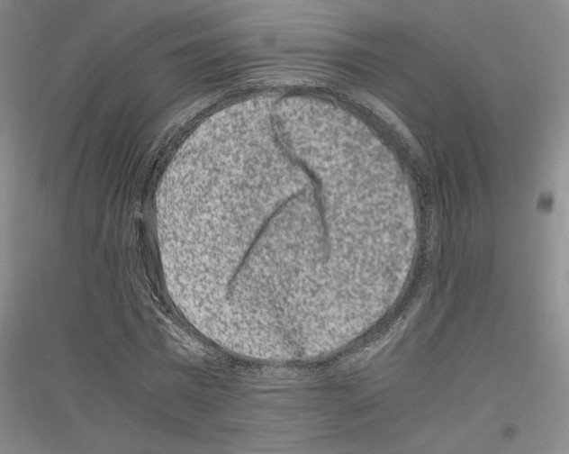 X0000116780777201001281121