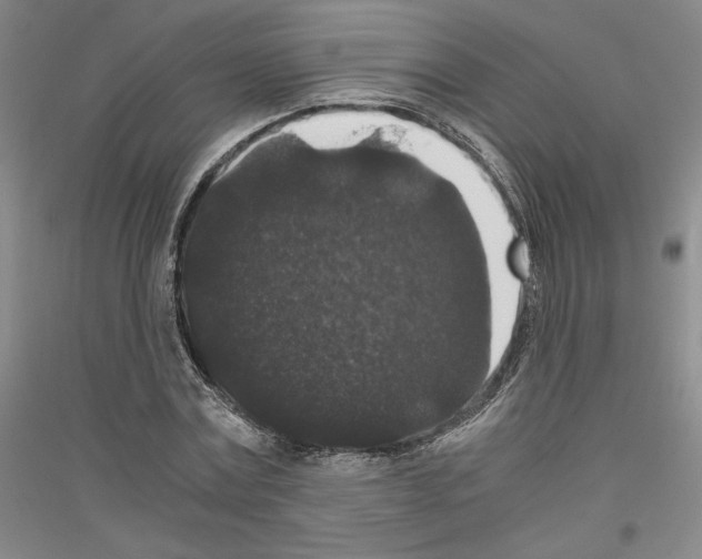 X0000116780779201001281121