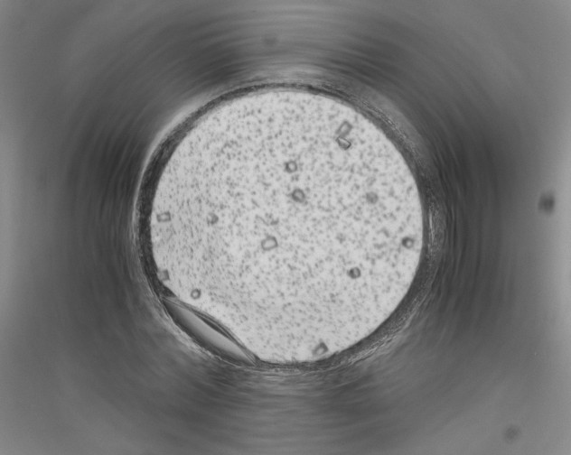 X0000116780780201001281121