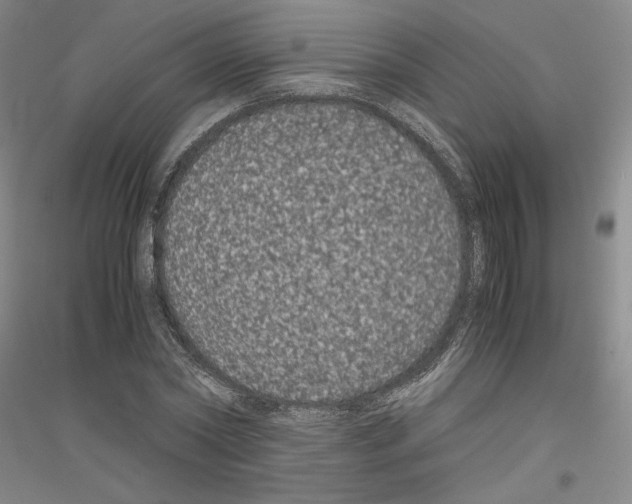 X0000116780782201001281121