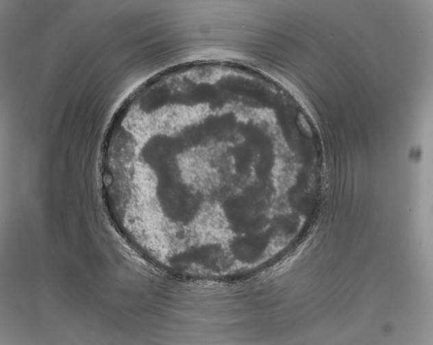 X0000116780783201001281120