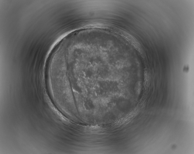 X0000116780784201001281120