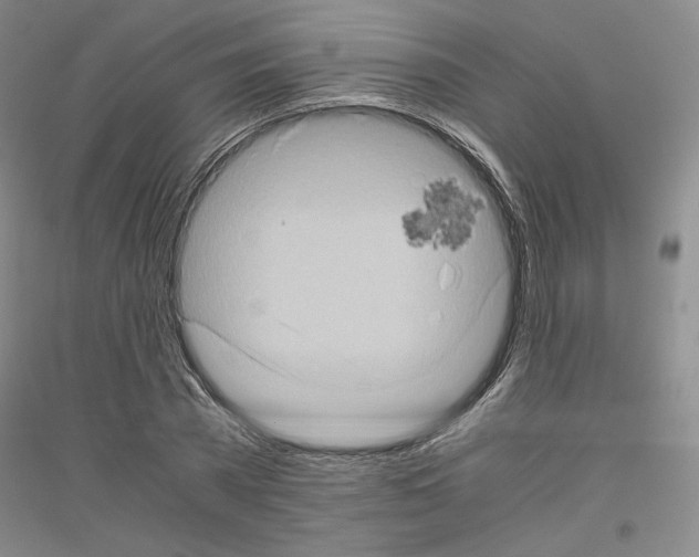 X0000116780785201001281120