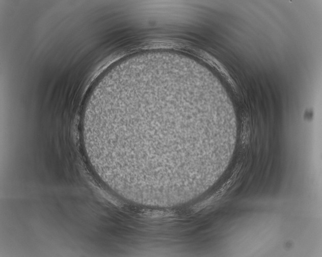 X0000116780786201001281120