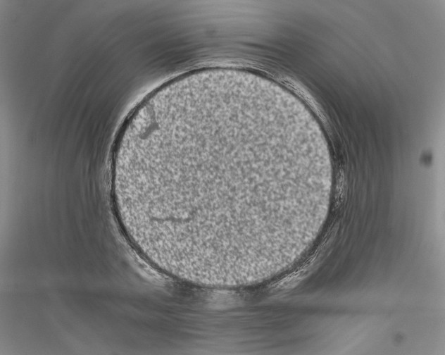 X0000116780787201001281120