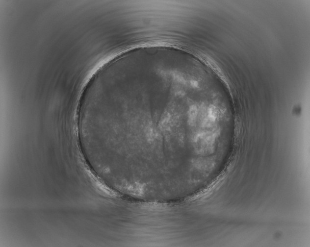 X0000116780789201001281120