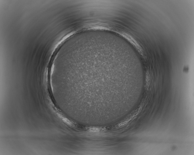 X0000116780790201001281120