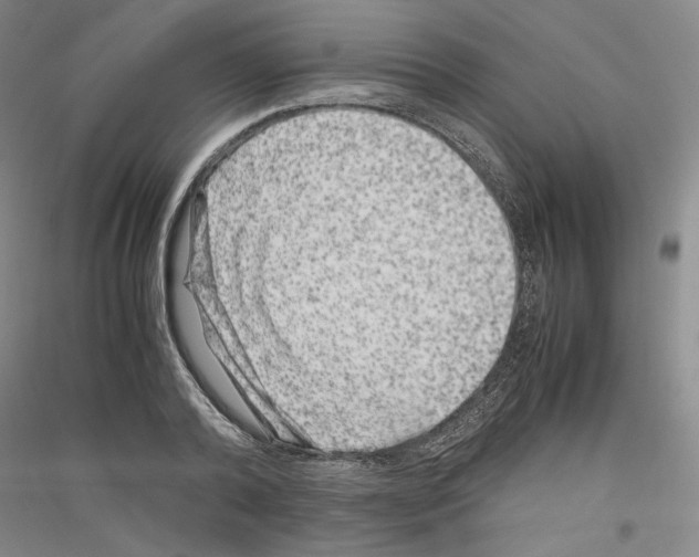 X0000116780792201001281120