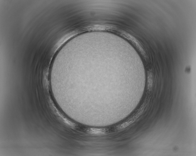 X0000116780794201001281120