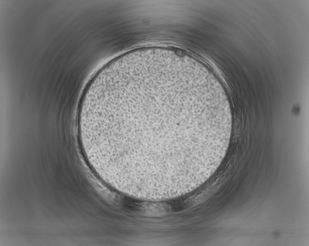 X0000116780795201001281120