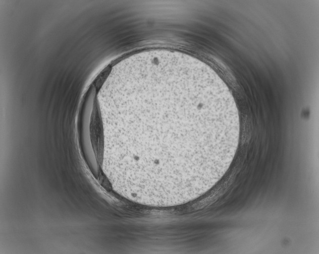 X0000116780796201001281120