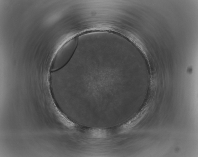 X0000116780797201001281120