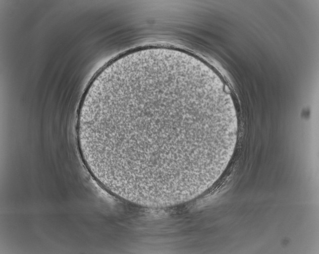 X0000116780799201001281120