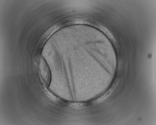 X0000116780801201001281120