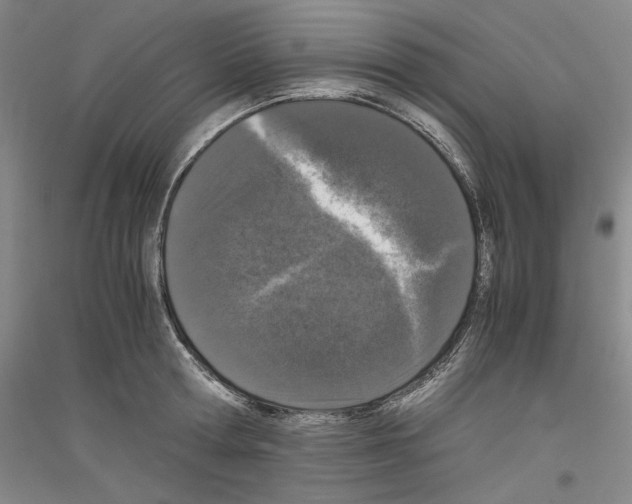 X0000116780802201001281120