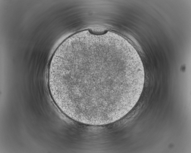 X0000116780804201001281120