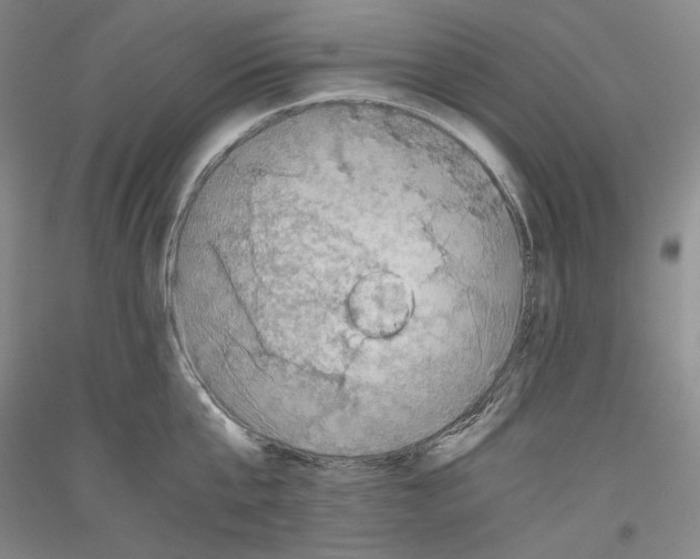 X0000116780807201001281120