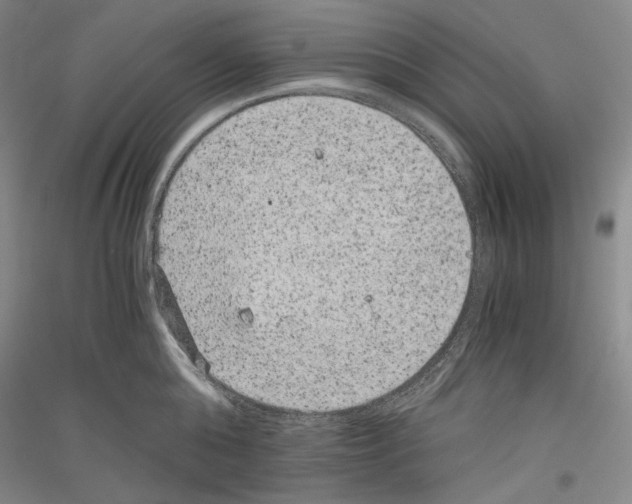 X0000116780808201001281120