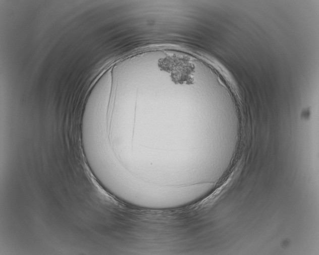 X0000116780809201001281120