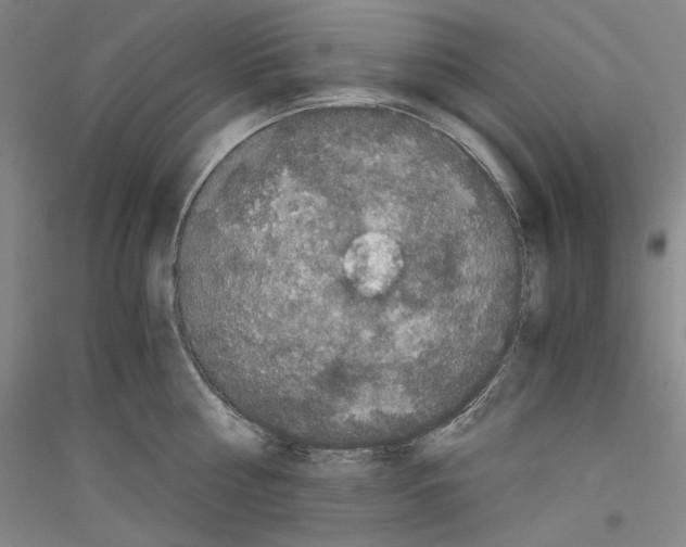 X0000116780810201001281120