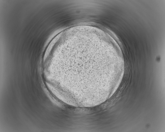 X0000116780811201001281120