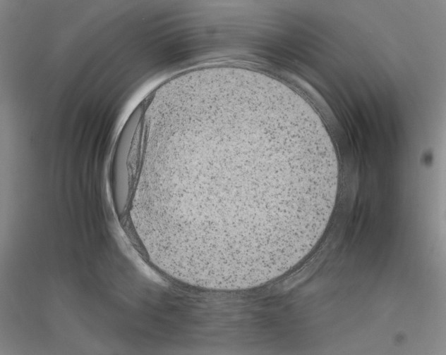 X0000116780812201001281120