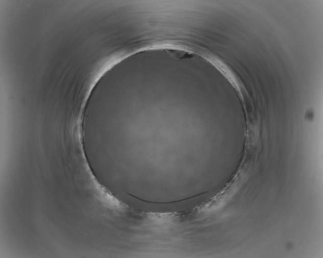 X0000116780813201001281120