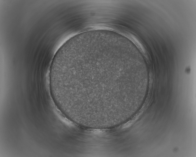 X0000116780814201001281120