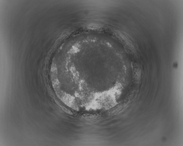 X0000116780817201001281119