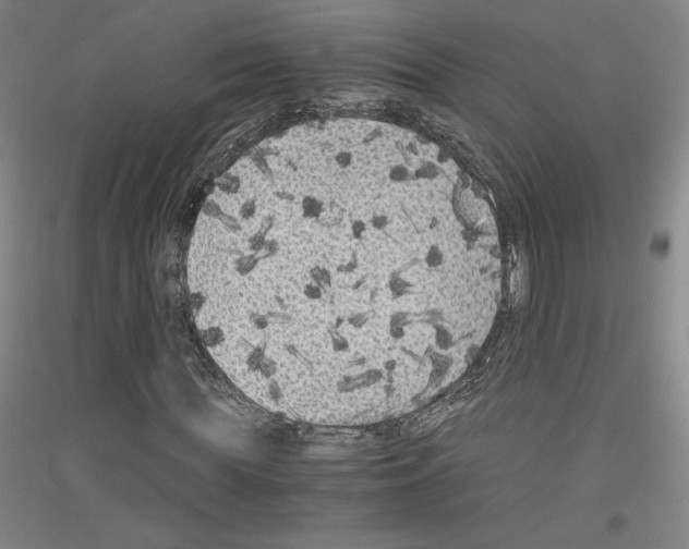 X0000116780819201001281119