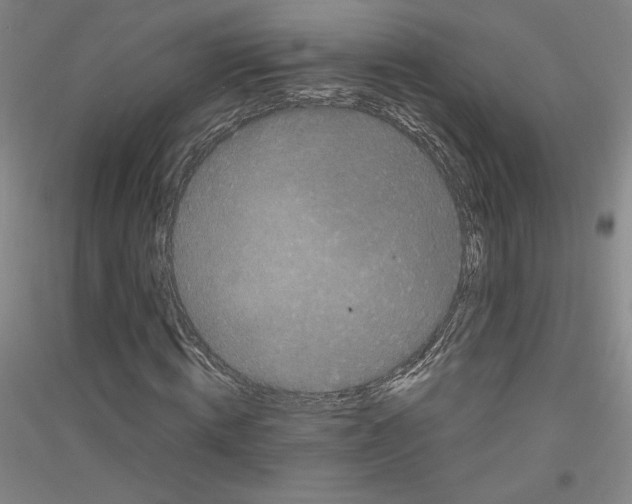 X0000116780820201001281119