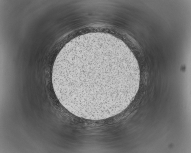 X0000116780821201001281119