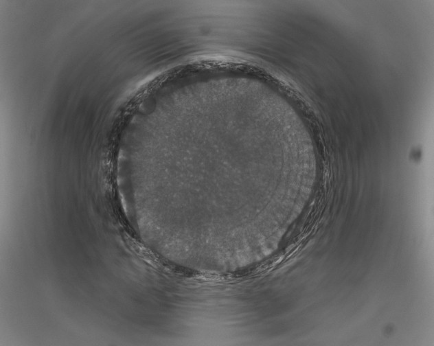 X0000116780822201001281119