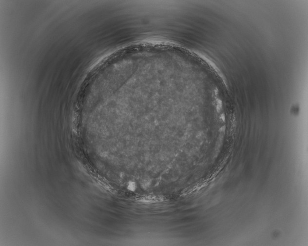 X0000116780823201001281119