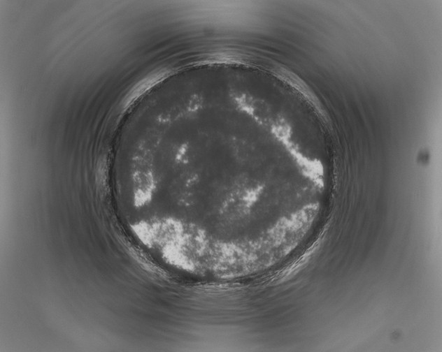 X0000116780826201001281120